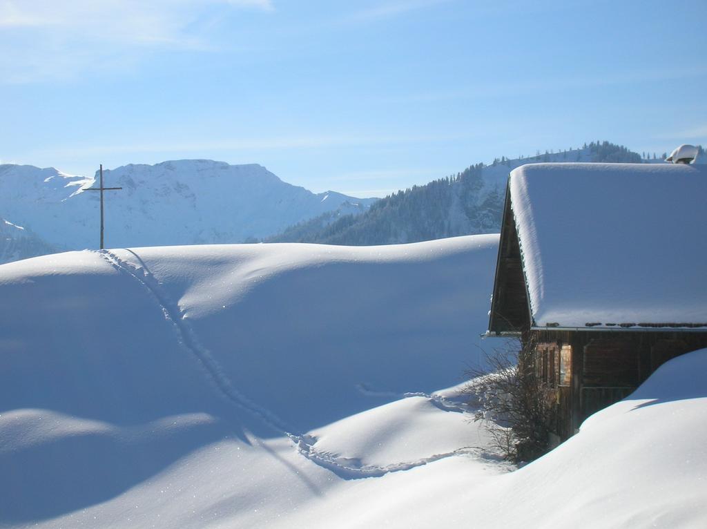 Vogt Mellau