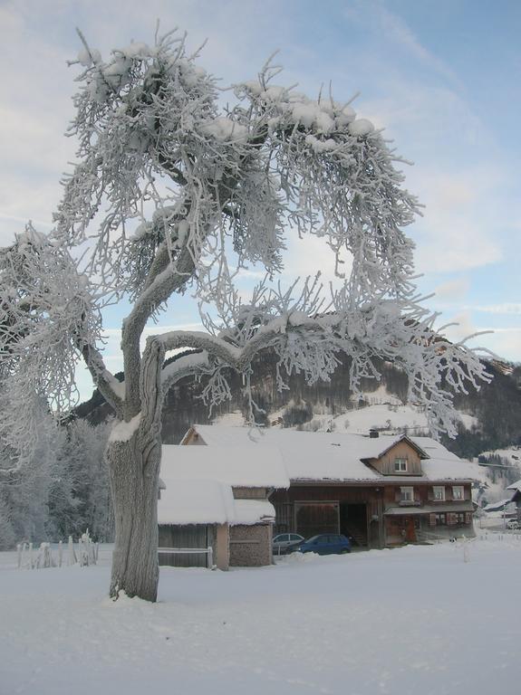 Vogt Mellau