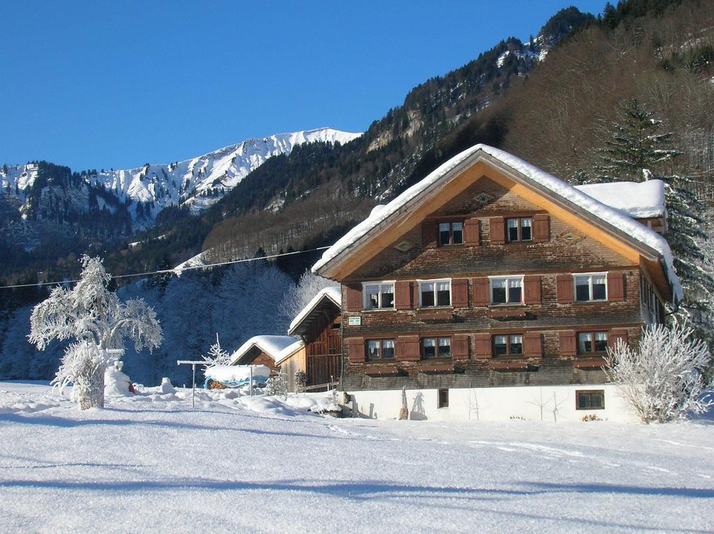 Vogt Mellau