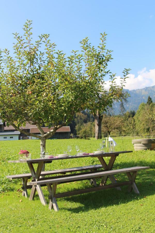 Vogt Mellau